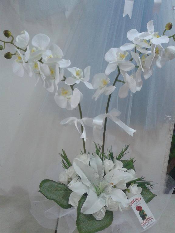 Orkide Lilyum
