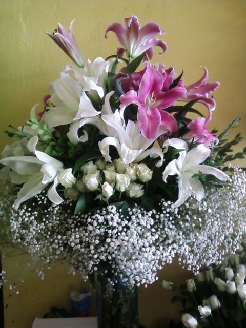 t�yap �i�ek�i fuar �i�ek�i