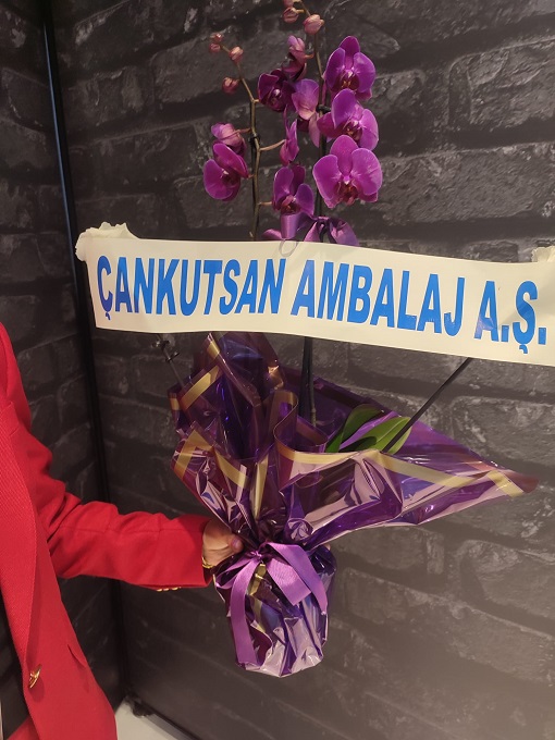 Fu�ya Orkide | T�yap Fuar Alan� ��in Zarif ve Canl� �i�ek